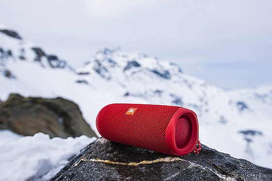 ����� ������ ���� JBL FLIP 5 - ��� ����