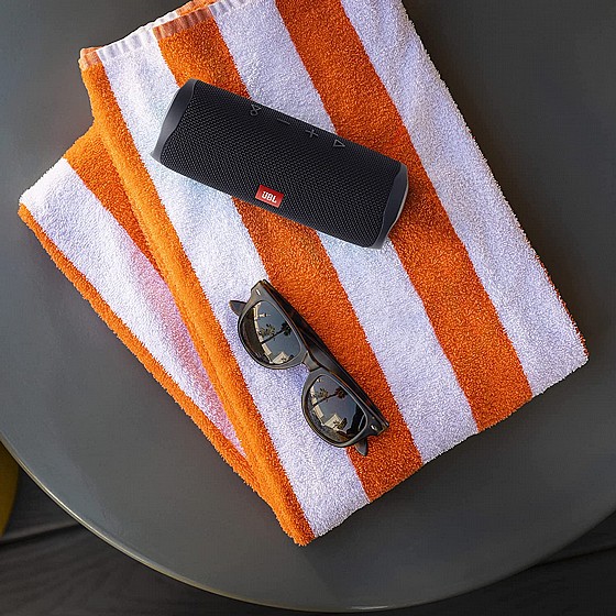 ����� ������ ���� JBL FLIP 5 - ��� ����