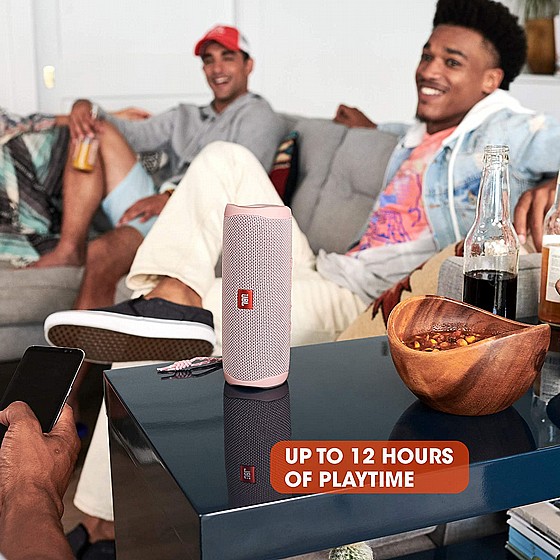 ����� ������ ���� JBL FLIP 5 - ��� ���