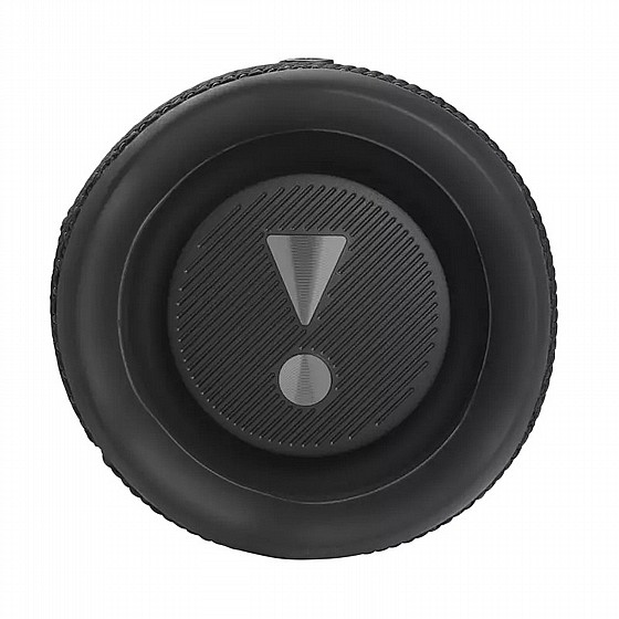 ����� ������ ���� JBL FLIP 6  - ��� ����