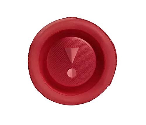 ����� ������ ���� JBL FLIP 6 - ��� ����