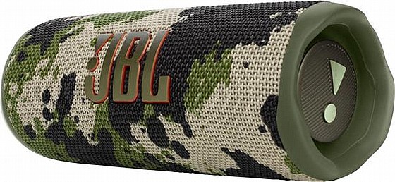 ����� ������ ���� JBL FLIP 6 - ��� ������