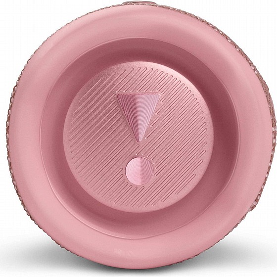 ����� ������ ���� JBL FLIP 6  - ��� ����