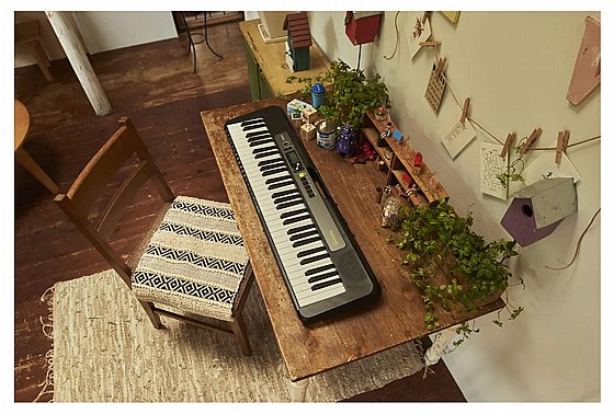 ������� ����� LK-S250 CASIO