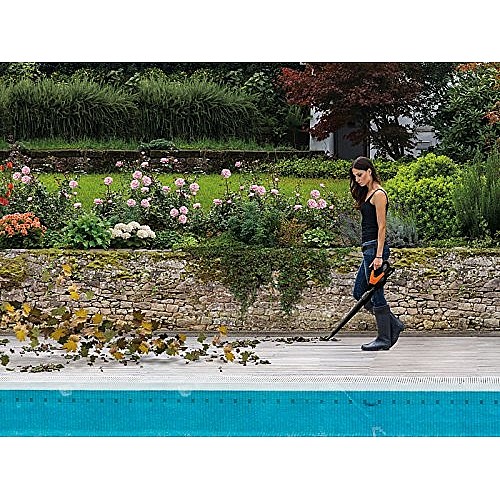 ���� ���� WORX WG549E ����