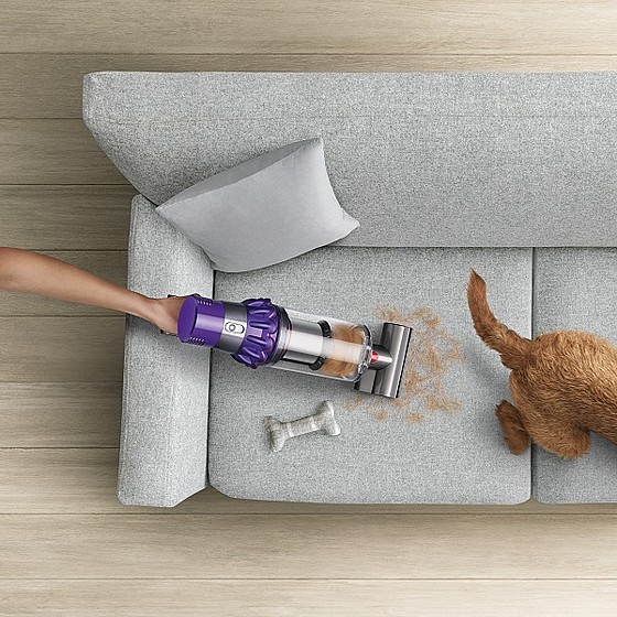 ���� ��� ANIMAL V10 DYSON ���� ����	