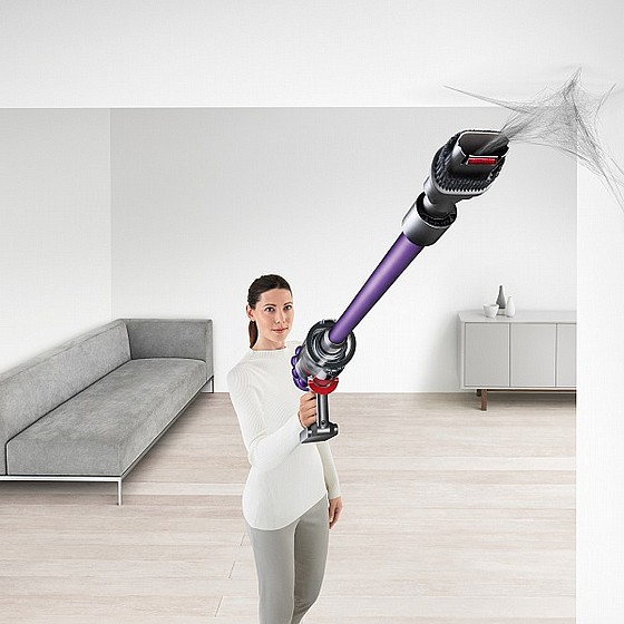 ���� ��� ANIMAL V10 DYSON ���� ����	