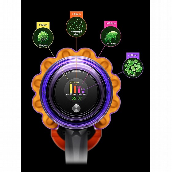 ���� ��� DETECT ANIMAL V15 DYSON