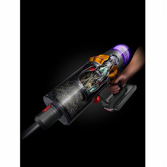 ���� ��� DETECT ANIMAL V15 DYSON