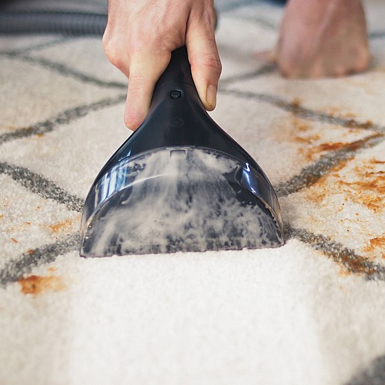 ���� ��� ���� 1558N PRO BISSELL