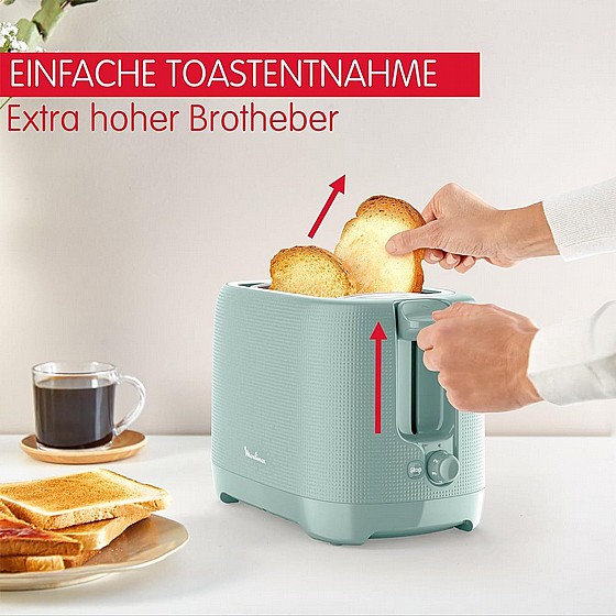���� LT2M1310 MOULINEX - ���� ����