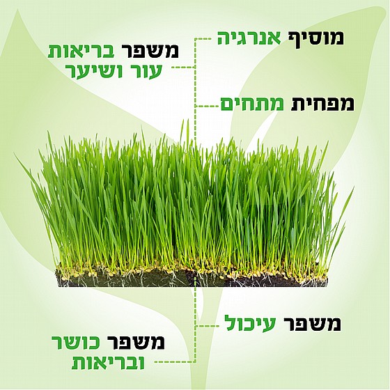 ����� ����� ����� ������ ���� ���� ���� UNIVERSE NRI-393