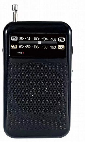 ���� ��������� ������ R-598 - ��� ����