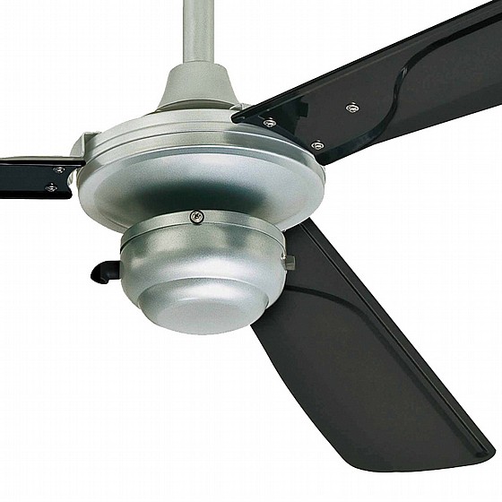 ������ ���� ������� 52" MOUNTAIN GALE WESTINGHOUSE �� ��� ����� - ��� ���� ����