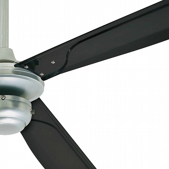 ������ ���� ������� 52" MOUNTAIN GALE WESTINGHOUSE �� ��� ����� - ��� ���� ����
