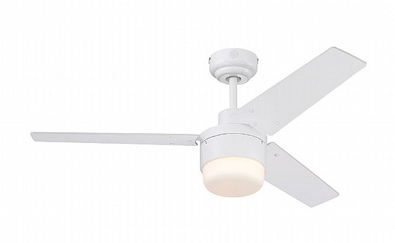 ������ ���� TALIA WESTINGHOUSE ���� 42" �� ��� - ��� ���