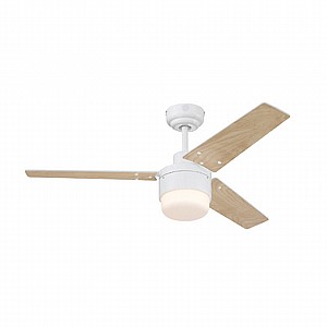 ������ ���� TALIA WESTINGHOUSE ���� 42" �� ��� - ��� ���