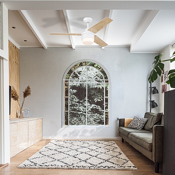 ������ ���� TALIA WESTINGHOUSE ���� 42" �� ��� - ��� ���