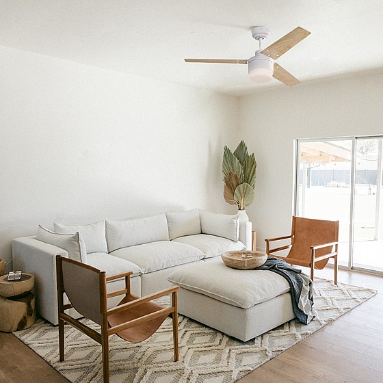 ������ ���� TALIA WESTINGHOUSE ���� 42" �� ��� - ��� ���