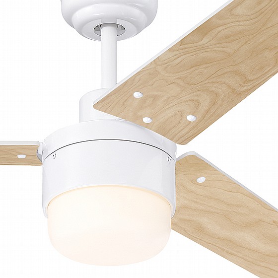 ������ ���� TALIA WESTINGHOUSE ���� 42" �� ��� - ��� ���