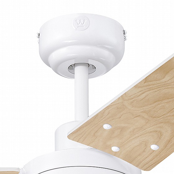 ������ ���� TALIA WESTINGHOUSE ���� 42" �� ��� - ��� ���