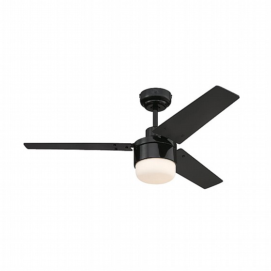 ������ ���� TALIA WESTINGHOUSE ���� 42" �� ��� - ��� ����