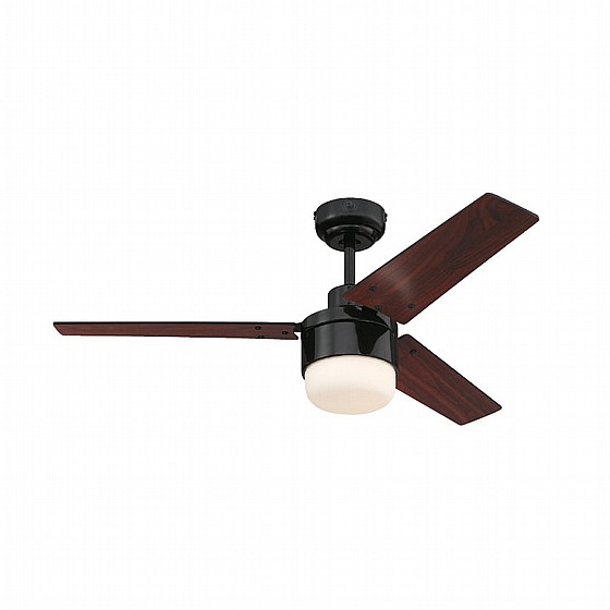 ������ ���� TALIA WESTINGHOUSE ���� 42" �� ��� - ��� ����