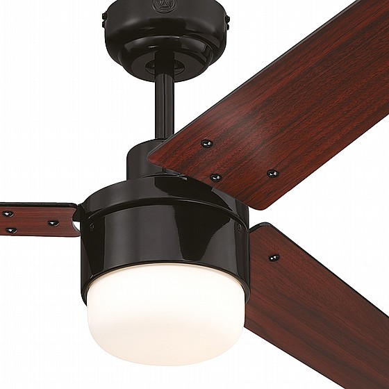 ������ ���� TALIA WESTINGHOUSE ���� 42" �� ��� - ��� ����