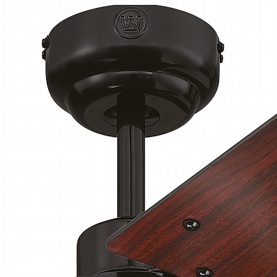 ������ ���� TALIA WESTINGHOUSE ���� 42" �� ��� - ��� ����