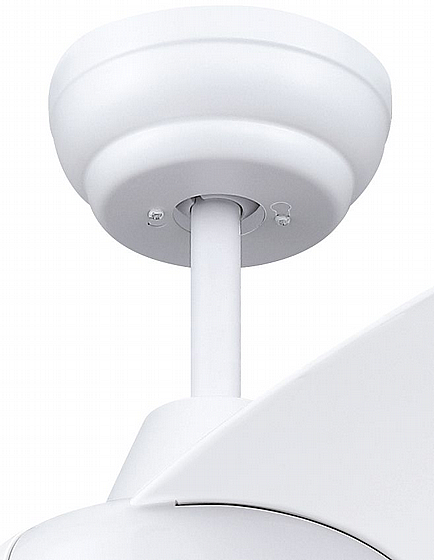 ������ ����  LONGWOOD WESTINGHOUSE ���� 42" - ��� ���