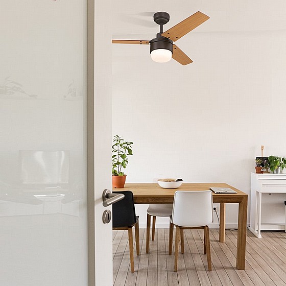 ������ ���� TALIA WESTINGHOUSE ���� 42" �� ��� - ��� ��