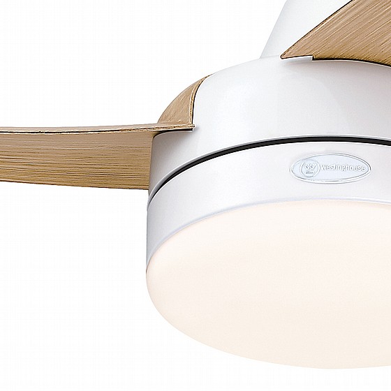 ������ ���� CCT VALERIA WESTINGHOUSE  ���� 42" ���� ��� - ��� ���