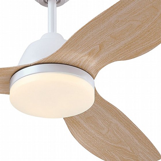 ������ ���� �� ��� ������ ���� Magnolia WESTINGHOUSE 73168 ���� 42" - ��� ��� ��