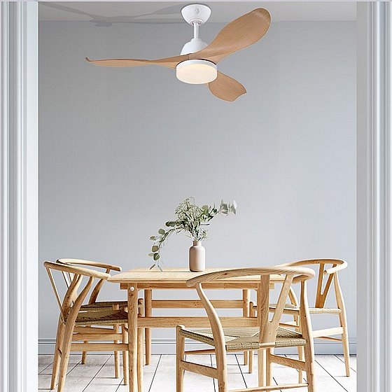 ������ ���� �� ��� ������ ���� 73198 CCT ERICA WESTINGHOUSE  ���� 42" - ��� ��� �� ����